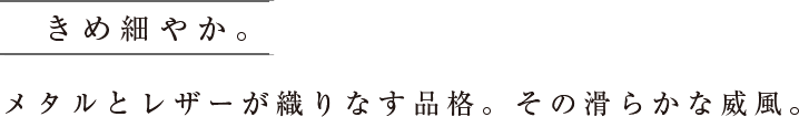 きめ細やか。メタルとレザーが織りなす品格。その滑らかな威風。